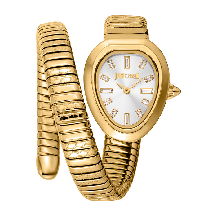 Just Cavalli Women's Aversa Silver Dial Watch - JC1L222M0025