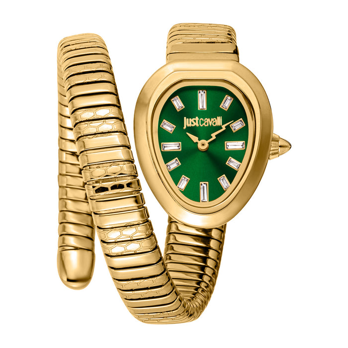 Just Cavalli Women's Aversa Green Dial Watch - JC1L222M0035
