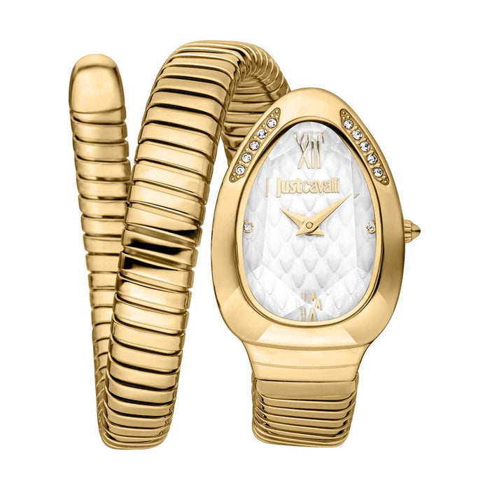 Just Cavalli Women's Taglio Silver Dial Watch - JC1L223M0025