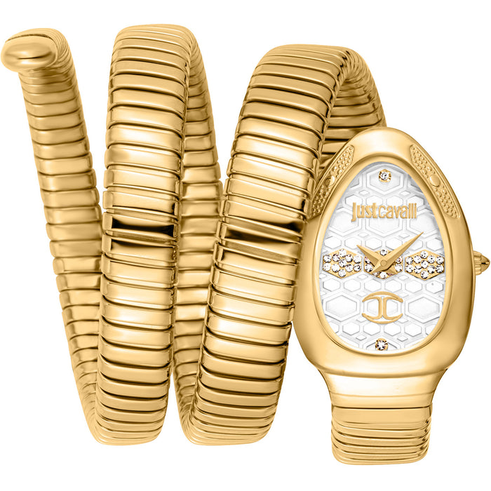 Just Cavalli Women's Cosenza Silver Dial Watch - JC1L232M0025