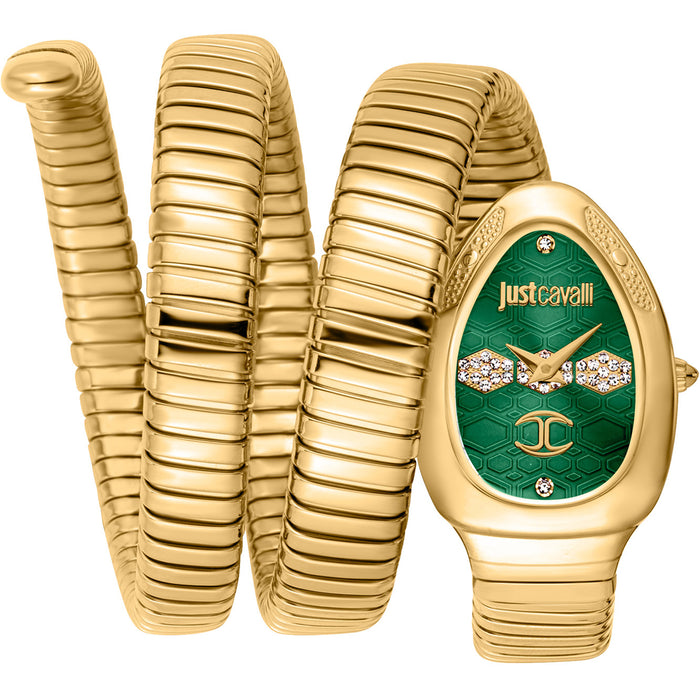 Just Cavalli Women's Cosenza Green Dial Watch - JC1L232M0035